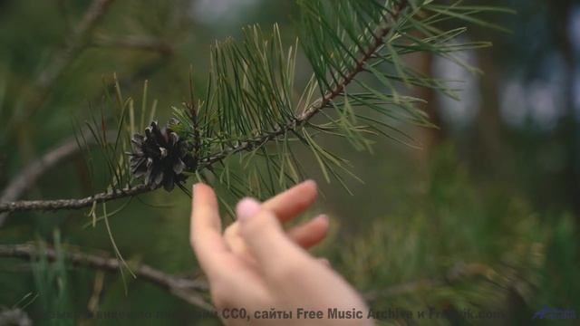 Каждый кадр под эту мелодию - праздник для глаз - Tumbleweeds -- Ketsa -- Metaphysics