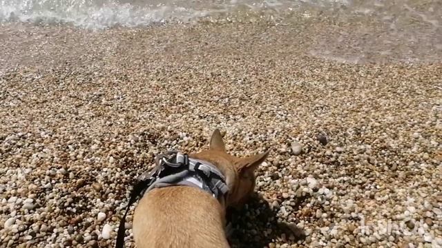 Знакомство с морем