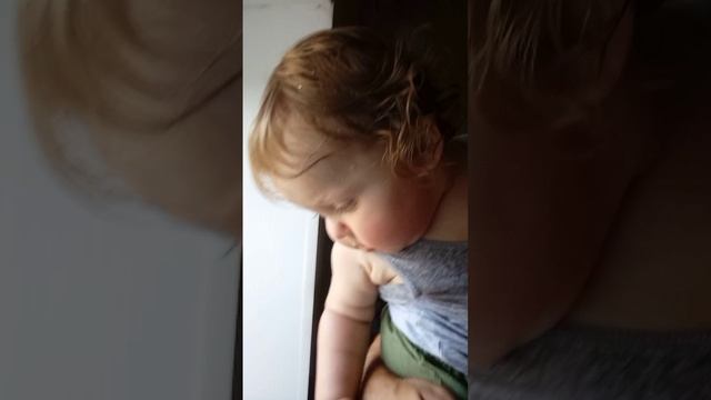 Народная примета на Троицу)