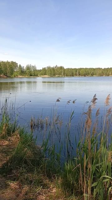 Ямкинское озеро.