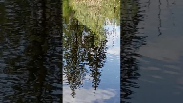 1000021851.mp4