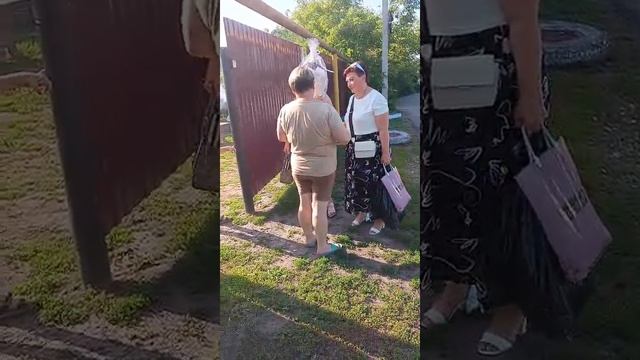 поздравление сестры жены