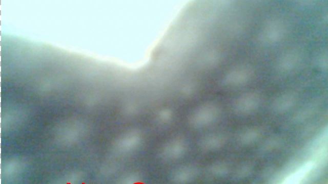AlterCam_Cap 2025-6-5 14-20-59