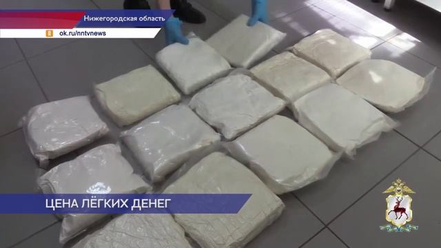 Полицейские обнаружили наркотики в Павловском лесу