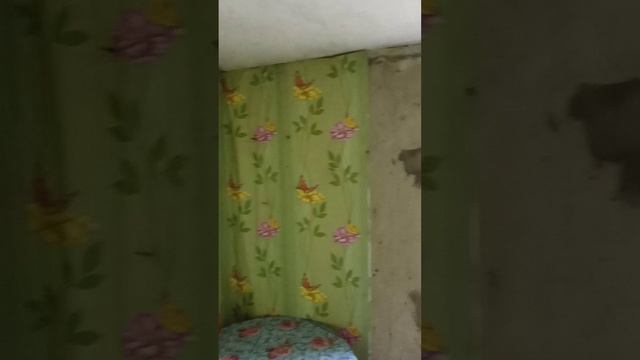VID_20250608_135252
