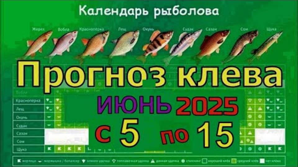 Прогноз клева рыбы на Эту неделю с 5 июня по 15 Июня 2025 Календарь