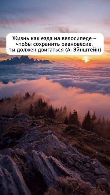 Точно так же и в жизни 👇 #shorts #мотивация #заработок #деньги #успех #бизнес #обучение