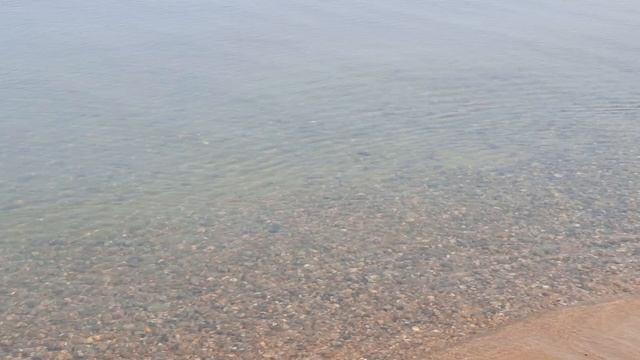 1000000093.mp4