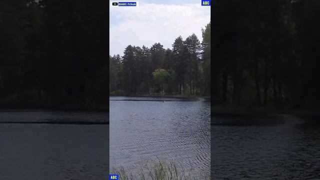 В чём сила воды #юныйпрадедбодрыйдед #производствостанков #авсарх