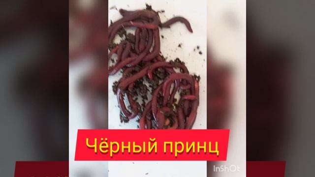 1000328052.mp4