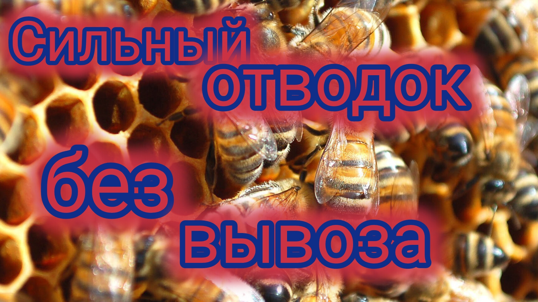 Сильный отводок без вывоза