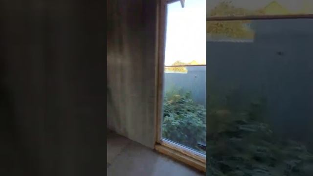 Топ дом