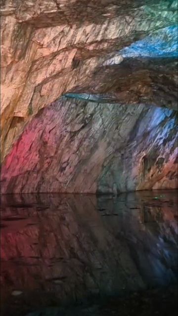 InShot_20250608_092544645.mp4