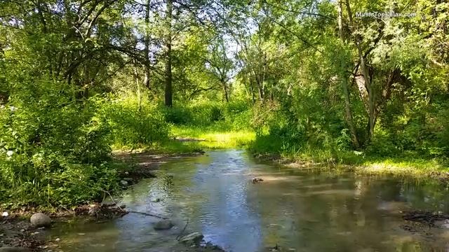 Умиротворяющие звуки природы часть 5