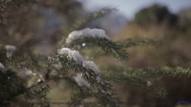 Музыка для квантовых компьютеров - услышьте будущее вычислений! - Sun is Calling -- DJ Petition -- U