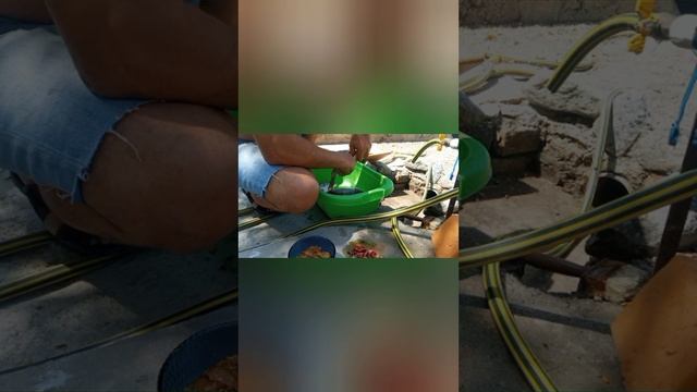 Рыбалка удалась