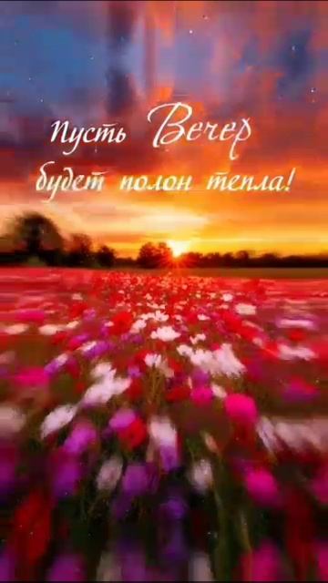 Добрый вечер