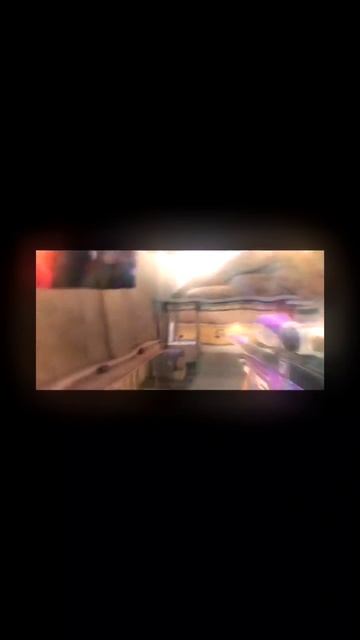 казашка сделала мне мувик standoff 2,стэндофф 2