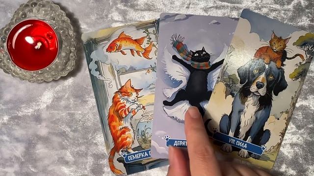 ТАРО-ПРОГНОЗ НА НЕДЕЛЮ С 9.06 ПО 15.06 ДЛЯ ВСЕХ ЗНАКОВ ЗОДИАКА