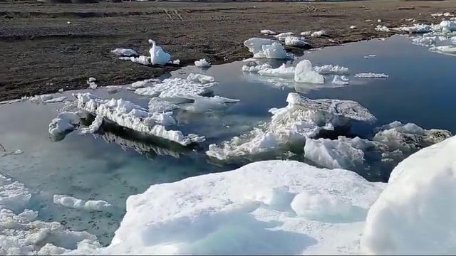 На Камчатке.