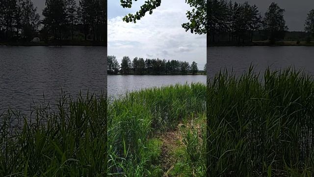 Пришли на любимый водоём Карпятник, синоптики прогнозируют температуру воды, как на Черном море