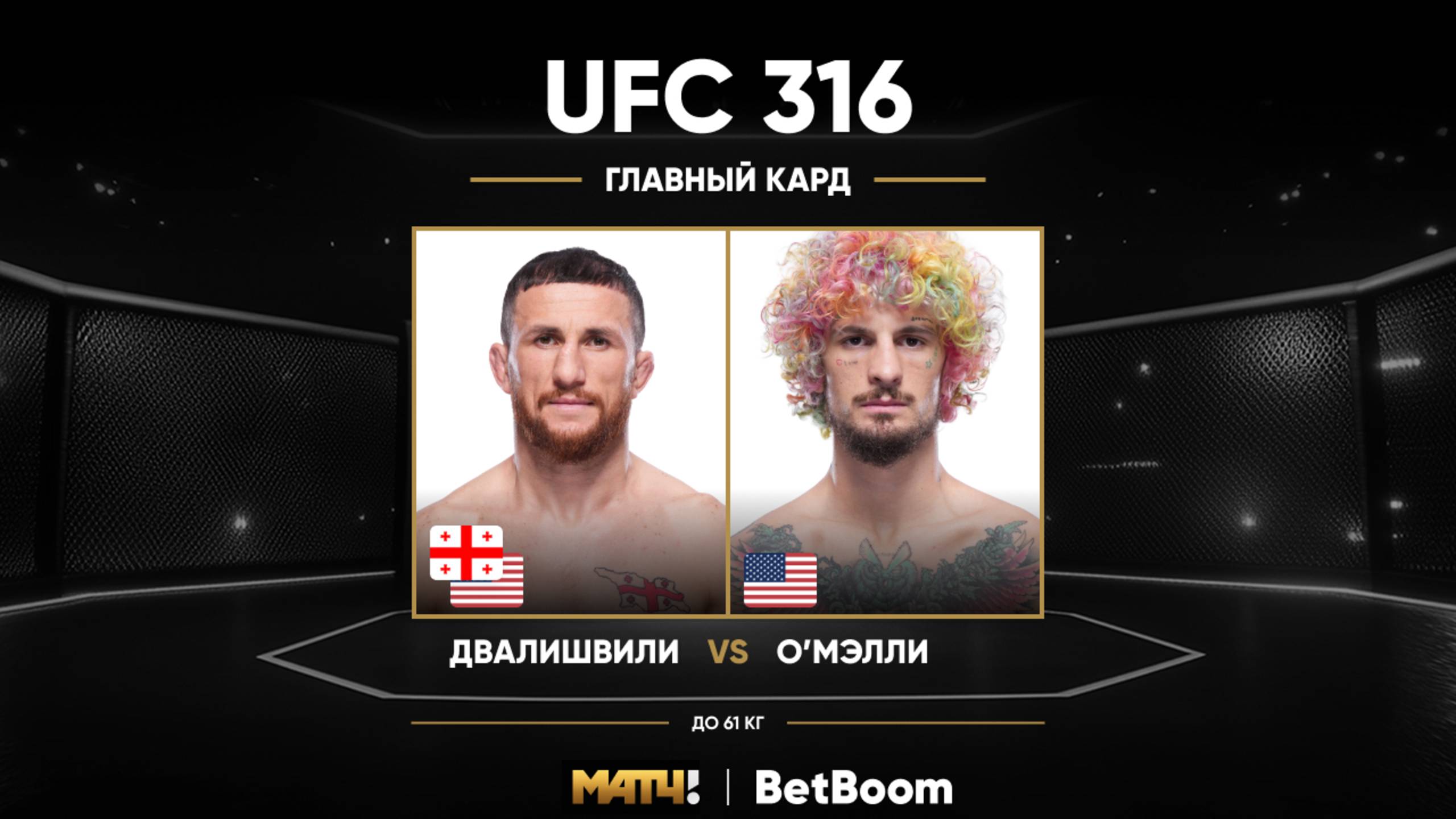 Мераб Двалишвили победил Шона О’Мэлли (видео). UFC 316