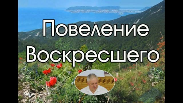 Повеление Христа ♥️ Проповедь МСЦ ЕХБ
