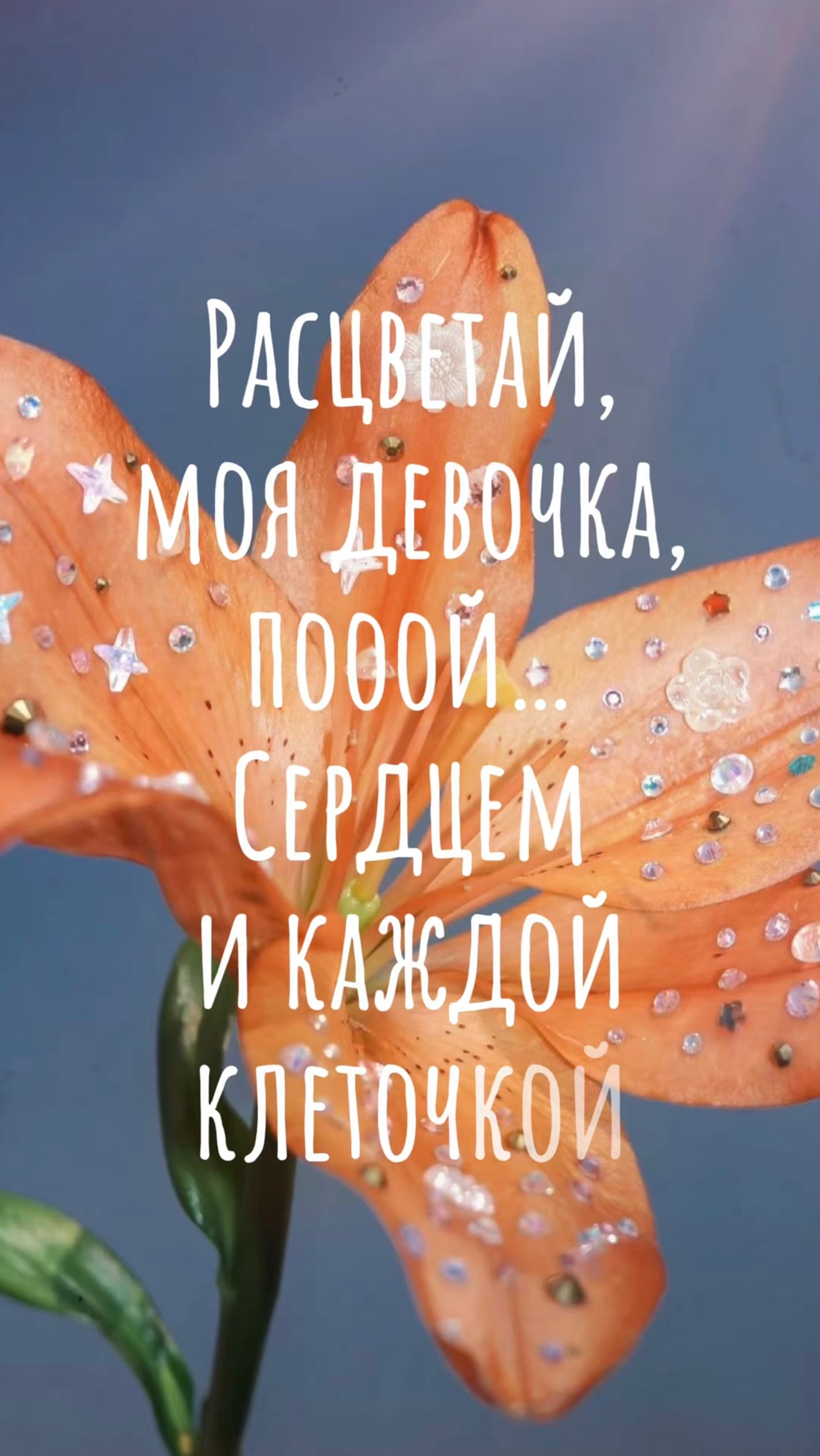 Группа «Аккара» - Расцветай