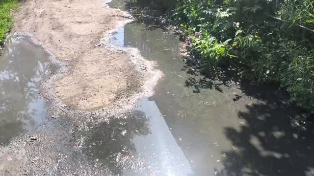 Макеевка, проспект Данилова, 51 дом .течет канализация  второй месяц.😡

А на улице  жара!!!🤢