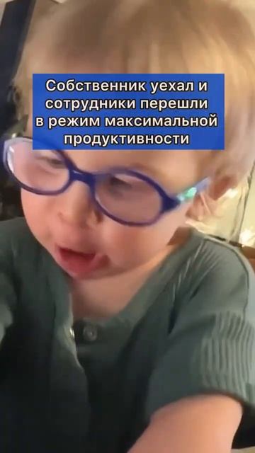 Когда собственник уехал в отпуск, офис превращается в коворкинг мечты.