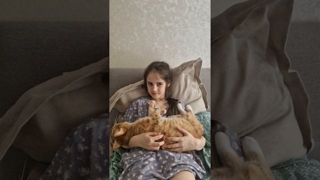 коты у бабушки.mp4