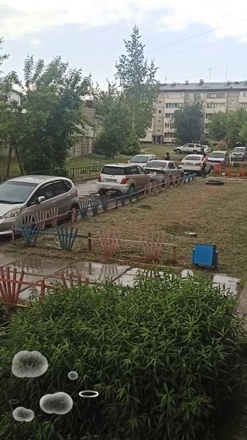 Россия. Сибирь. Ангарск. 08.06.2025г. Троица и Дождик. 🤗🤗🤗