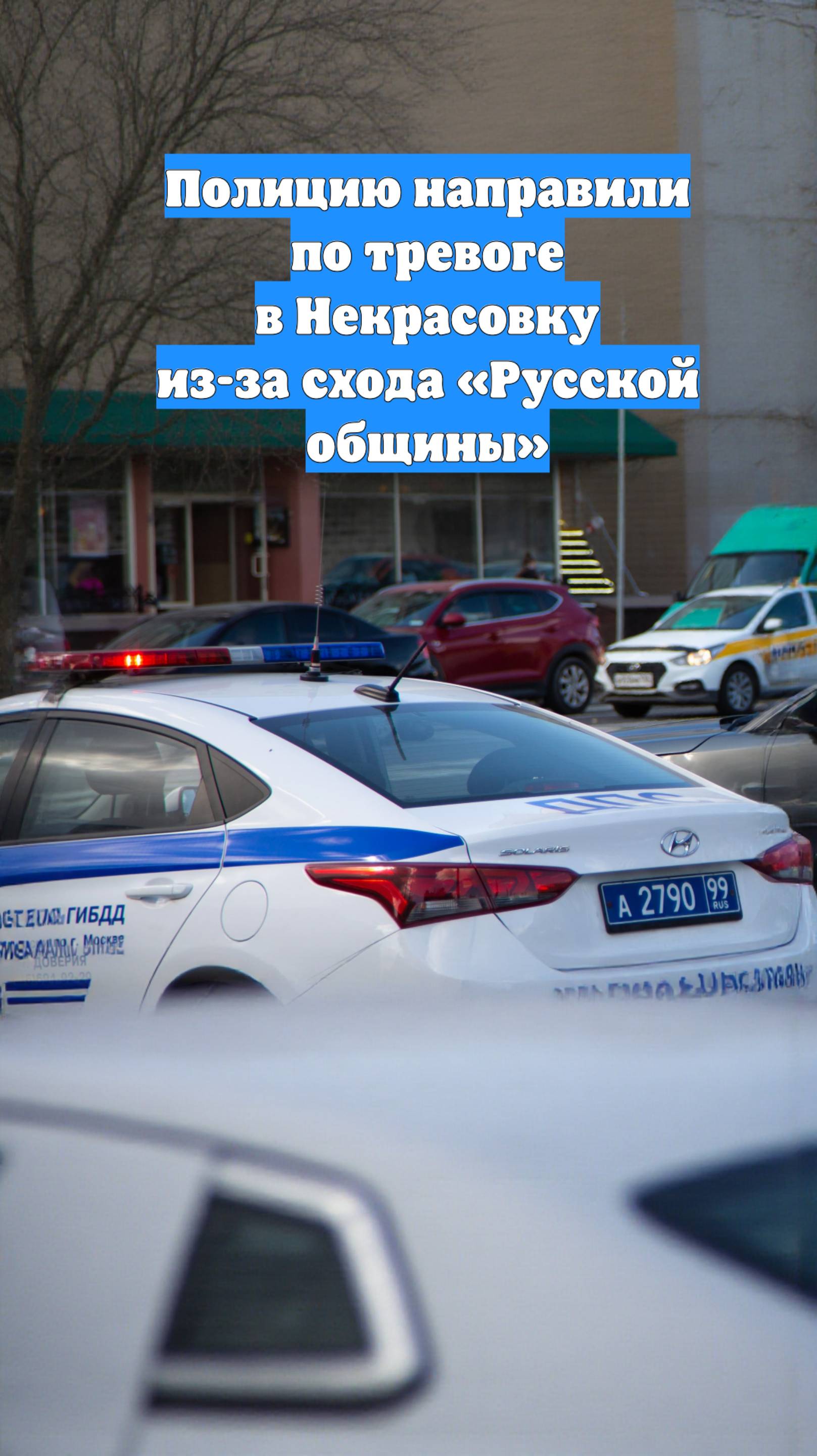 Полицию направили по тревоге в Некрасовку из-за схода «Русской общины»