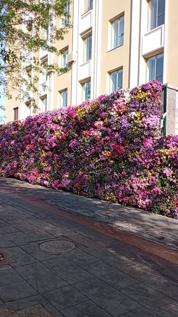 ВСЕХ ВЕРУЮЩИХ, ПОЗДРАВЛЯЮ С ПРАЗДНИКОМ СВТОЙ ТРОИЦЫ!🌺🌿🌱✊😎✌️СОТРИТЕ, КАКУЮ КРАСОТУ, Я УВИДЕЛ СЕГО