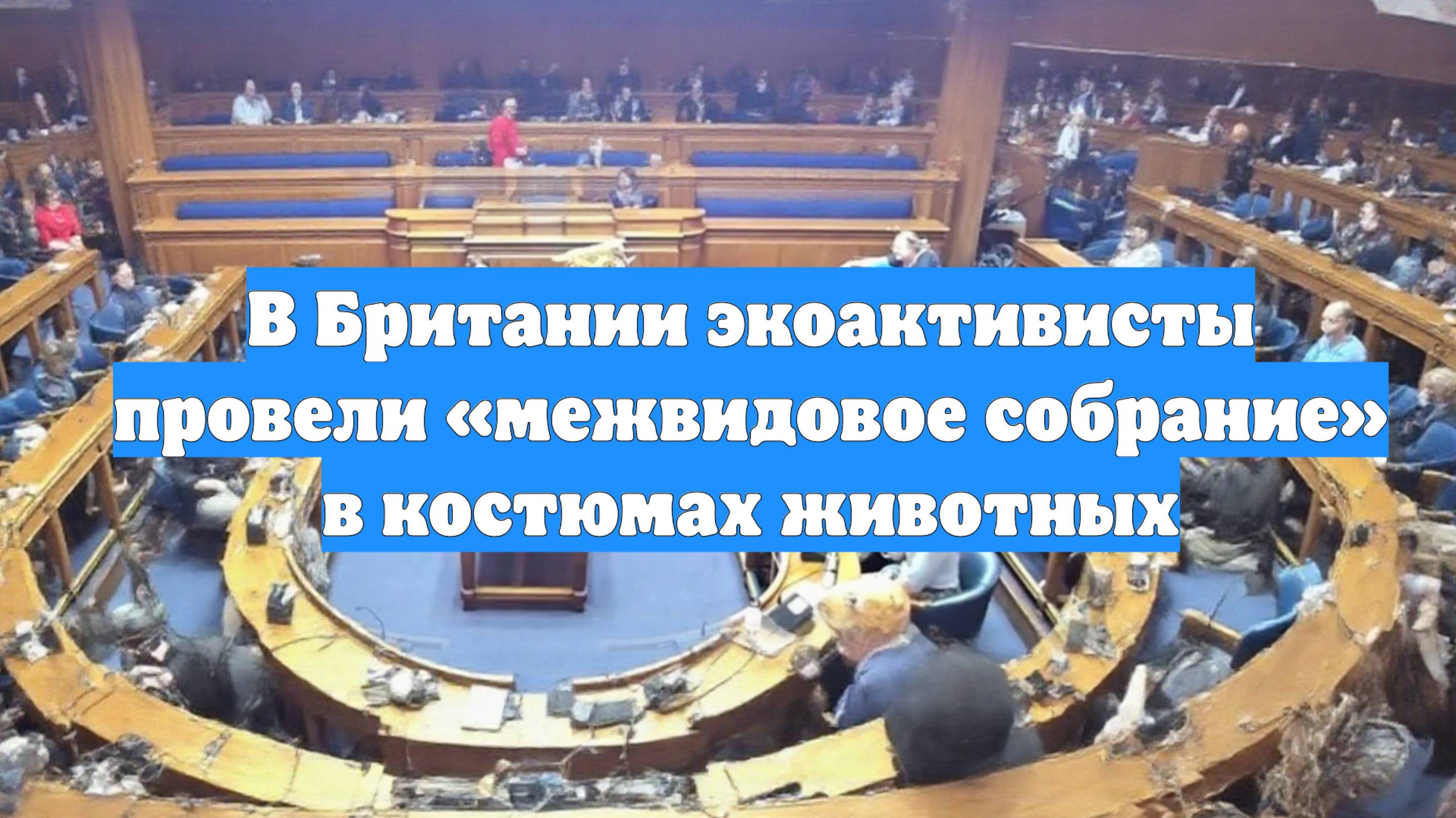 В Британии экоактивисты провели «межвидовое собрание» в костюмах животных