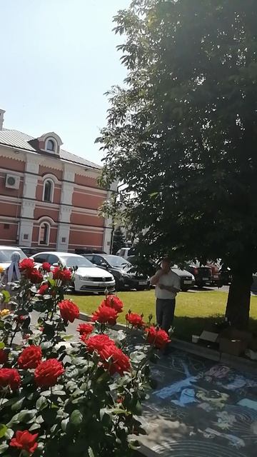 Цветник у Троицкого собора Саратова