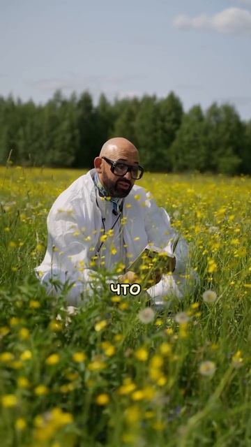А ЗАПАХ ТРАВЫ! БЛАГОДАТЬ!