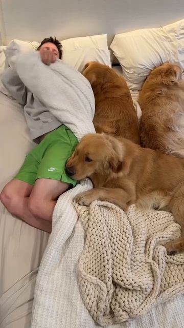 Реально полезное упражнение