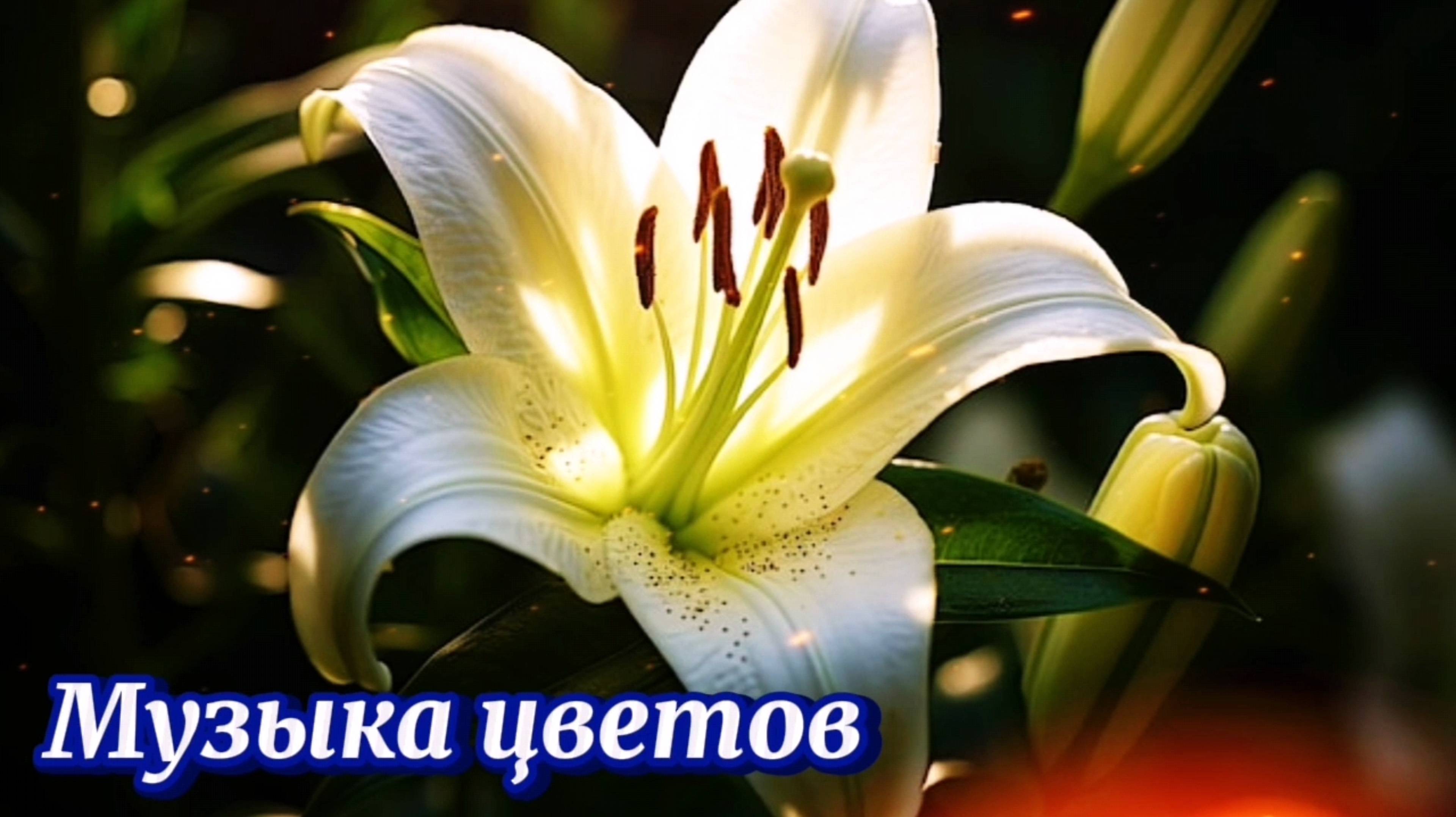 Музыка для расслабления и укрепления нервной системы. Мелодия релакса 2025 НОВИНКА