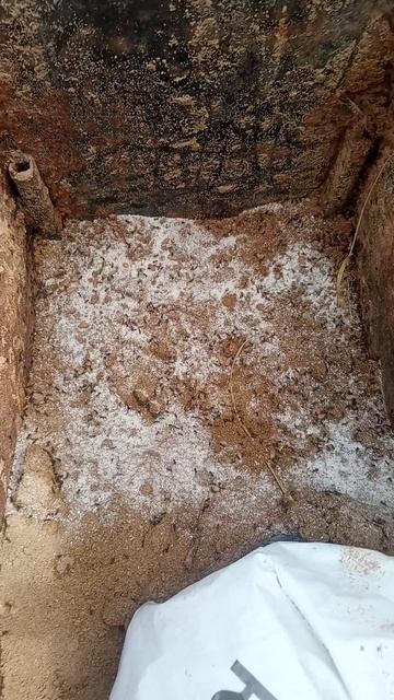 Порошок от муравьев