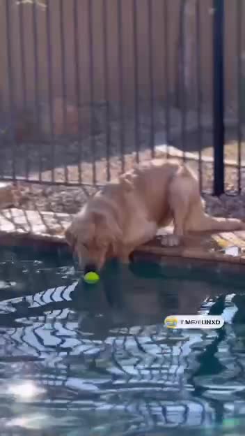 Неловко получилось😄