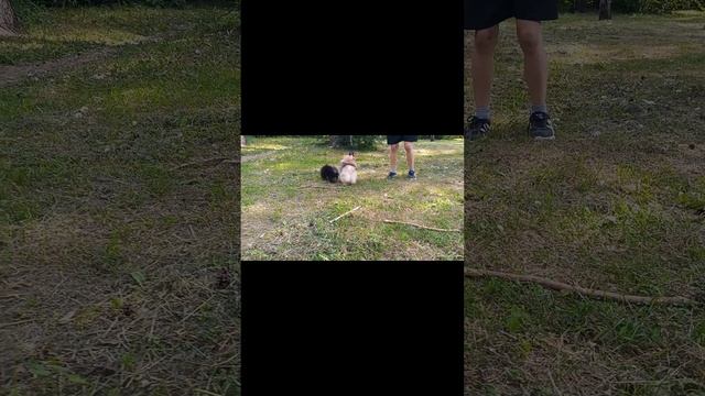 1000100938.mp4