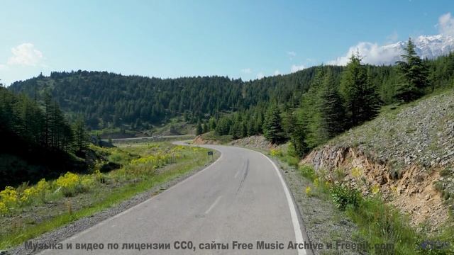 Это НЕ ФОТОШОП - но как! - Easy Cheesy (ID 405) - Remastered -- Lobo Loco -- My Favorite Easy Listen