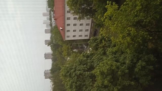 08-06-2025Фактическвя погода в Ярославском районе г Москве