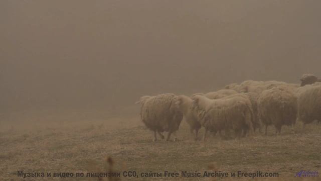 Музыка, которая звучит как шепот заходящего солнца! - Pastures -- Ketsa -- As Above So Below