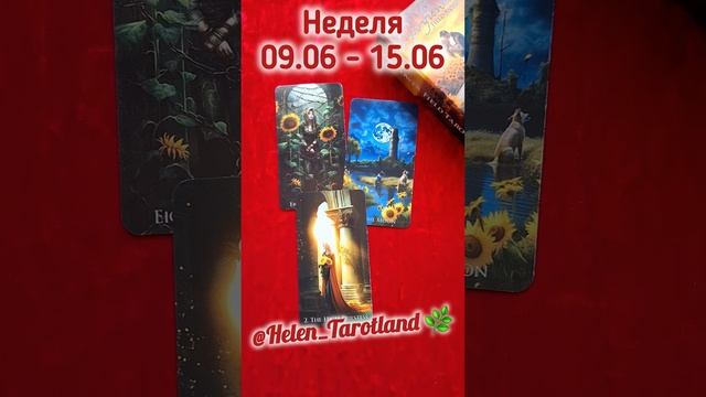 Расклад "Что ожидает на неделе с 09.06 по 15.06" 🌿🌻 Недельный расклад
