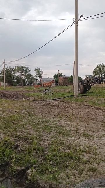 Веснушка☀️