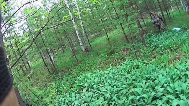 в лес,все в лес..mp4
