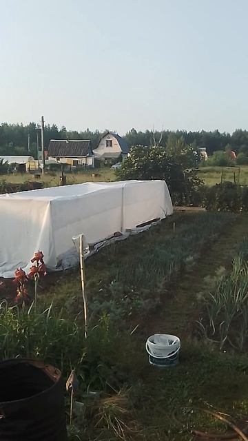 8 июня 2025 года С праздником.mp4