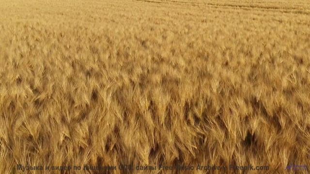 Леса звучат как песня, которую ждали всю жизнь - Sand Cave -- Frau Holle -- Different Ways